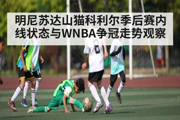 明尼苏达山猫科利尔季后赛内线状态与WNBA争冠走势观察