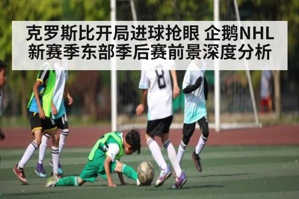 克罗斯比开局进球抢眼 企鹅NHL新赛季东部季后赛前景深度分析