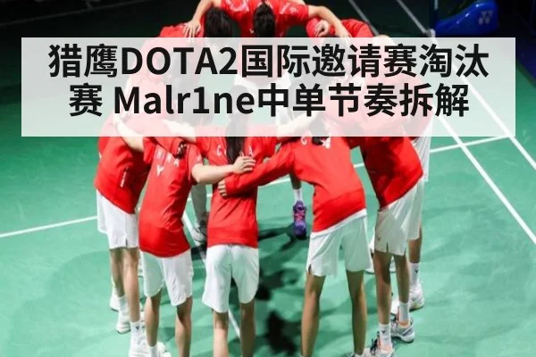 猎鹰DOTA2国际邀请赛淘汰赛 Malr1ne中单节奏拆解