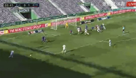 1619885674646014116.gif
